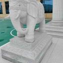 百色 白麻花岗岩动物异形石雕-大象